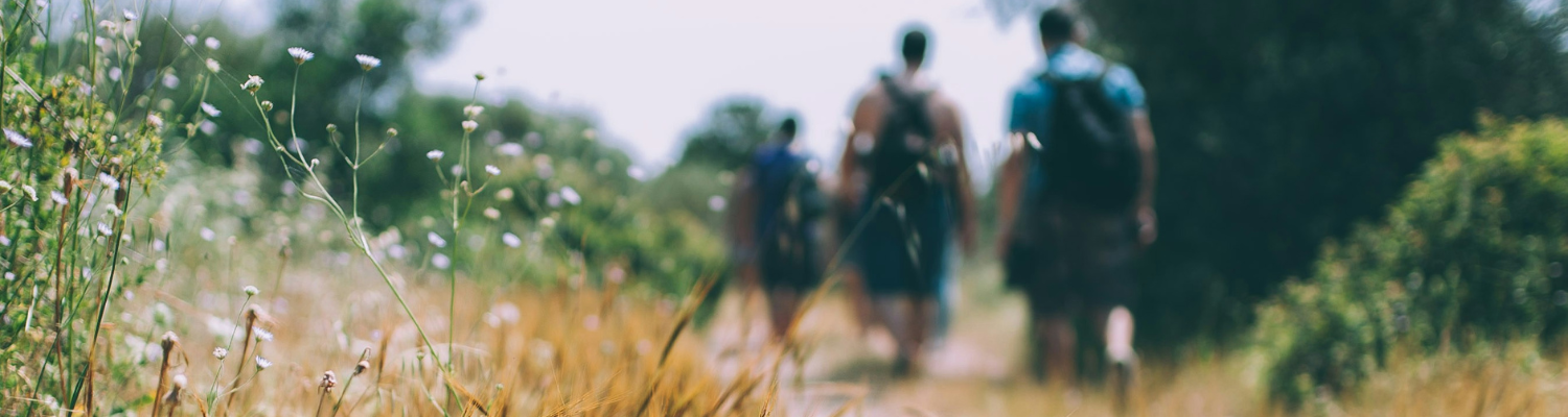 A group of people with backpacks walk along a trail, surrounded by tall grasses and small wildflowers, evoking a sense of hypnotherapy. The image is blurred, focusing on the vegetation in the foreground, creating a dreamy and adventurous atmosphere.