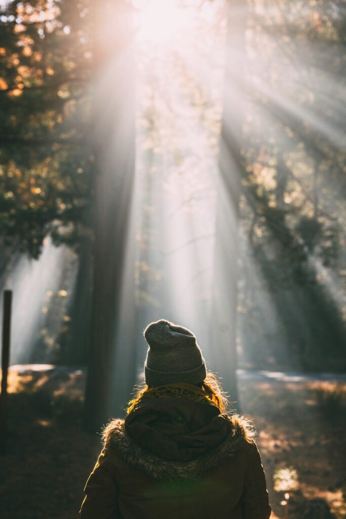 A person wearing a beanie and a coat with a furry hood stands in a sunlit forest, where the atmosphere feels almost like hypnotherapy. Sun rays filter through the trees, creating a serene scene. The view is from behind, as they appear to be gazing meditatively at the light.